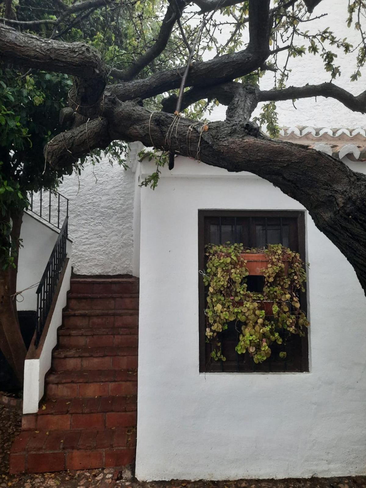 Hotel Rural Verde Oliva Comares الغرفة الصورة