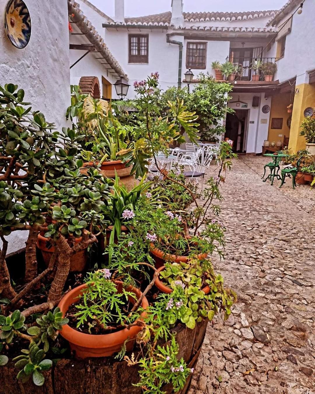 Hotel Rural Verde Oliva Comares المظهر الخارجي الصورة
